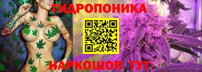 прущий лед Будённовск