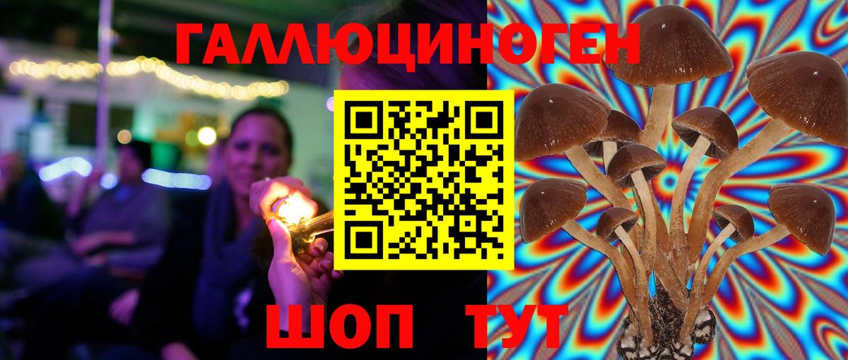 Рязань  купить наркоту  Вход с VPN  Галлюциногенные грибы GOLDEN TEACHER 